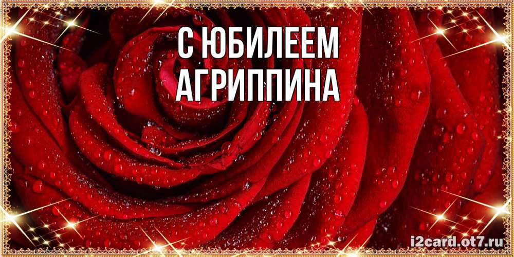 Открытка на каждый день с именем, Агриппина C юбилеем роса на розе блестящая в лучах солнца Прикольная открытка с пожеланием онлайн скачать бесплатно 