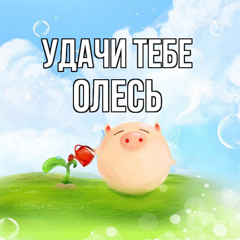 Открытка с именем, Олесь, Удачи тебе
