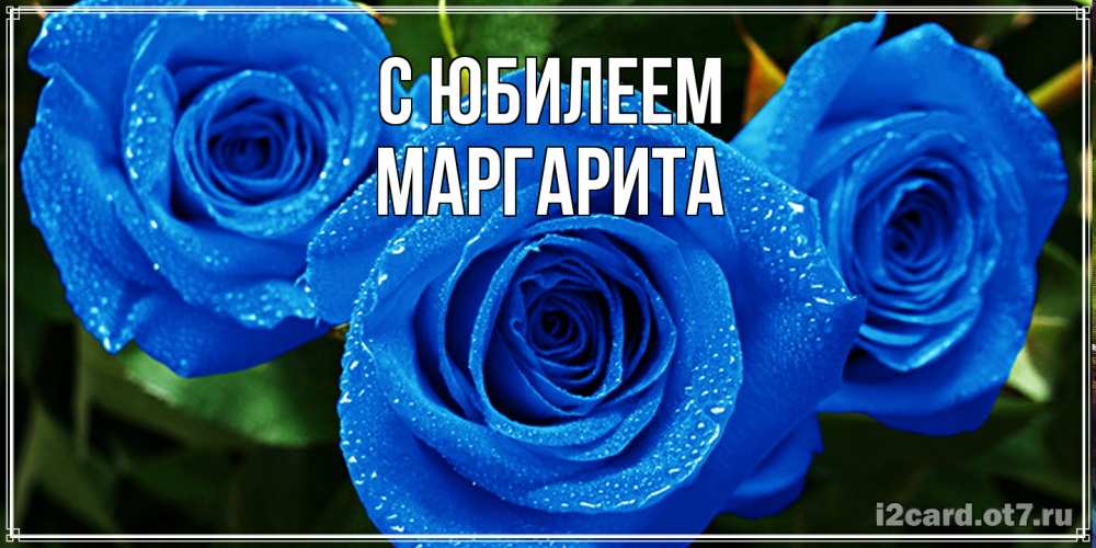 Открытка на каждый день с именем, Маргарита C юбилеем розы с синим цветом Прикольная открытка с пожеланием онлайн скачать бесплатно 