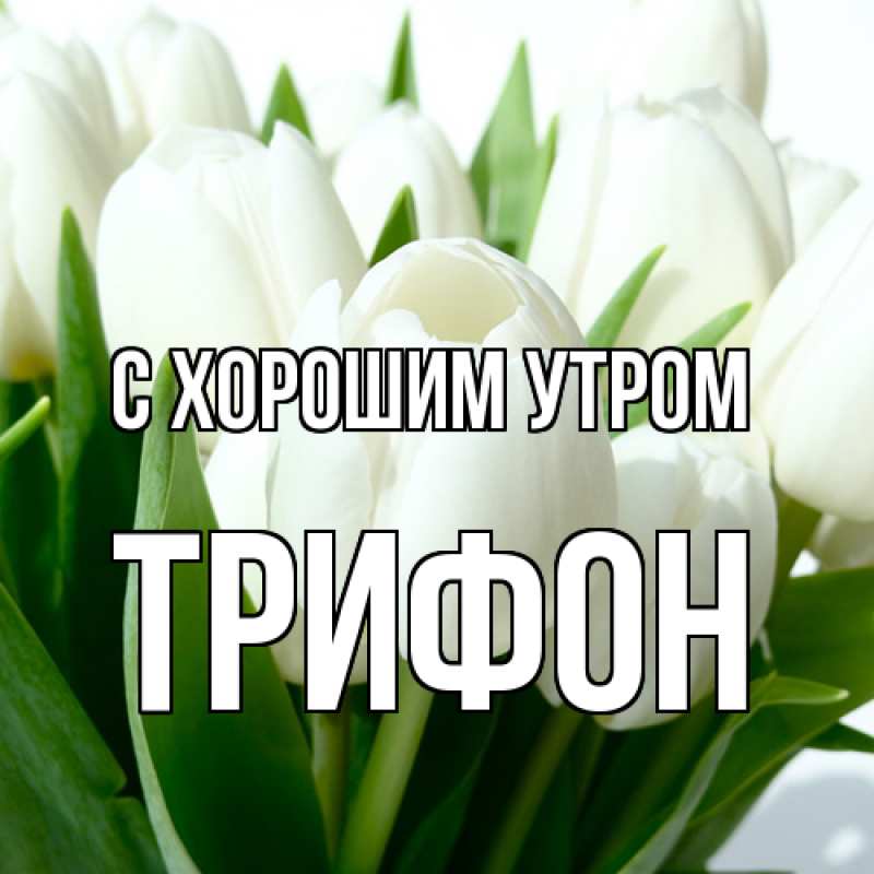 Картинка С хорошим утром, Трифон
