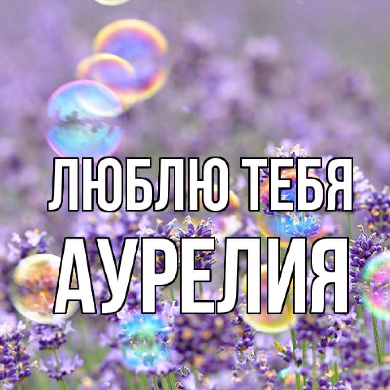 Картинка Люблю тебя, Аурелия