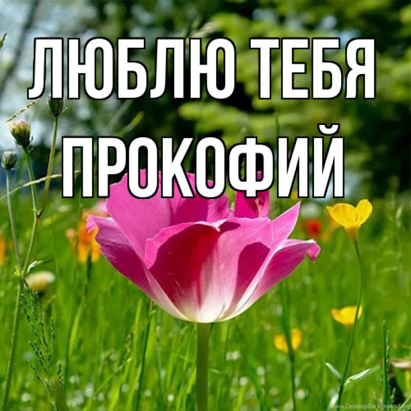 Картинка Люблю тебя, Прокофий