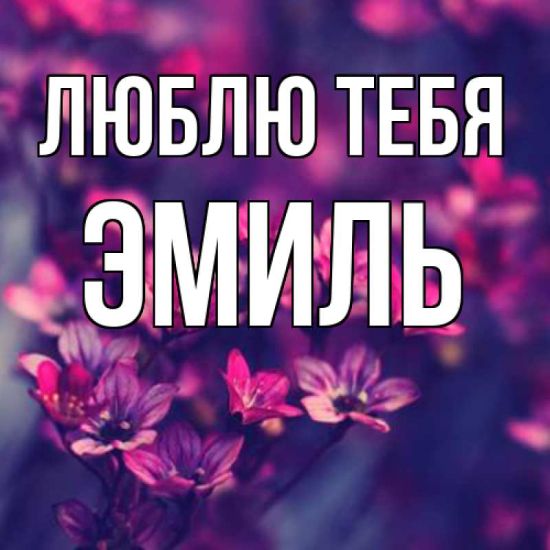 Картинка Люблю тебя, Эмиль