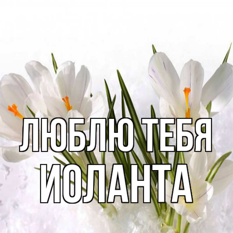 Картинка Люблю тебя, Иоланта