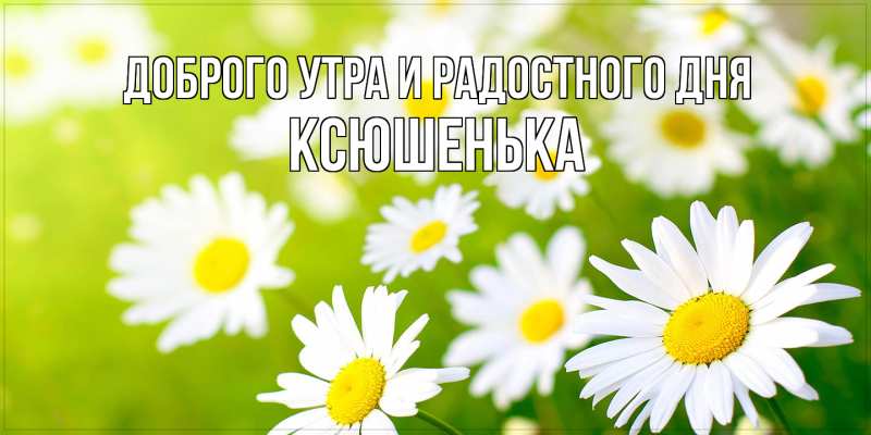 Картинка Доброго утра и радостного дня, Ксюшенька