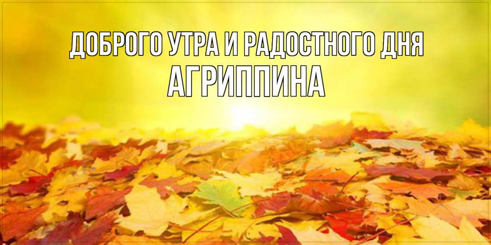 Открытка на каждый день с именем, Агриппина Доброго утра и радостного дня пожелания удачного дня Прикольная открытка с пожеланием онлайн скачать бесплатно 