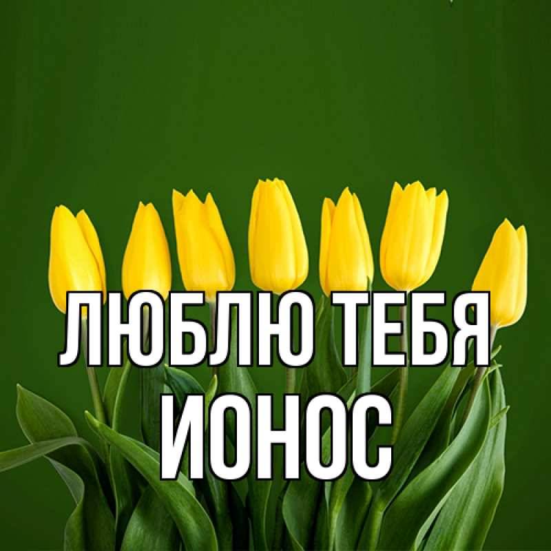 Картинка Люблю тебя, Ионос