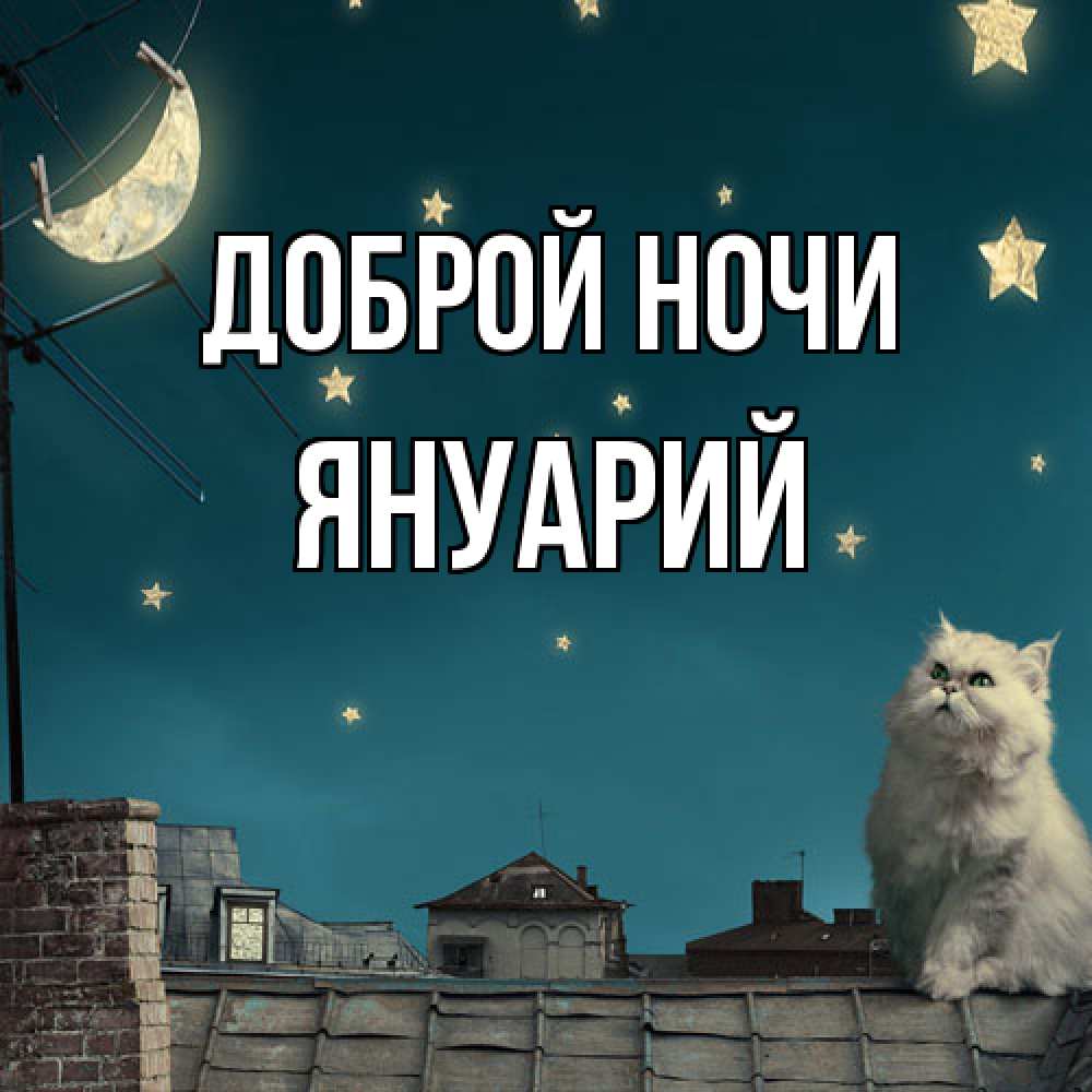Открытка на каждый день с именем, Януарий Доброй ночи белый кот сидит на крыше Прикольная открытка с пожеланием онлайн скачать бесплатно 