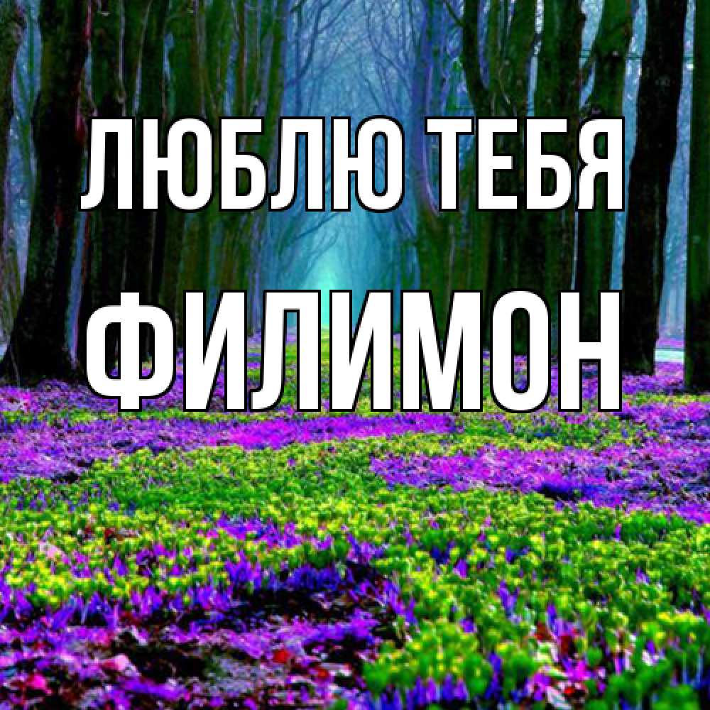 Открытка на каждый день с именем, Филимон Люблю тебя фиолетовые цветы в лесу 1 Прикольная открытка с пожеланием онлайн скачать бесплатно 