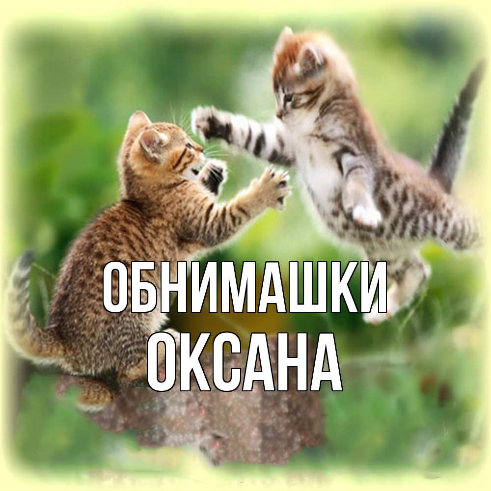 Открытка на каждый день с именем, Оксана Обнимашки игры котят Прикольная открытка с пожеланием онлайн скачать бесплатно 