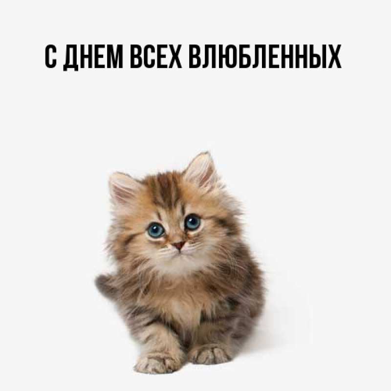 Картинка Большое спасибо, Иветта