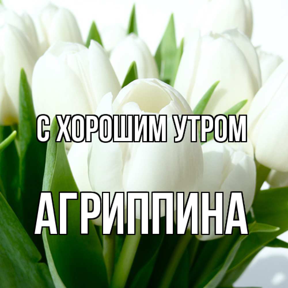 Открытка на каждый день с именем, Агриппина С хорошим утром открытки на каждый день по именам Прикольная открытка с пожеланием онлайн скачать бесплатно 