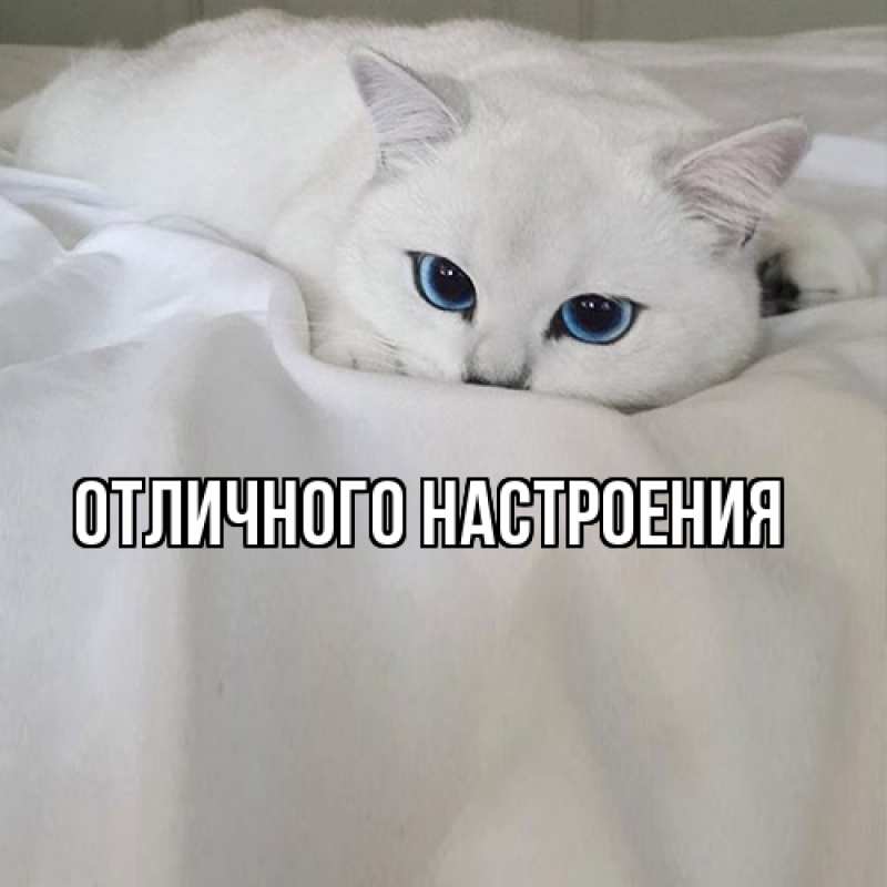 Картинка Я жду тебя, Вольдемар