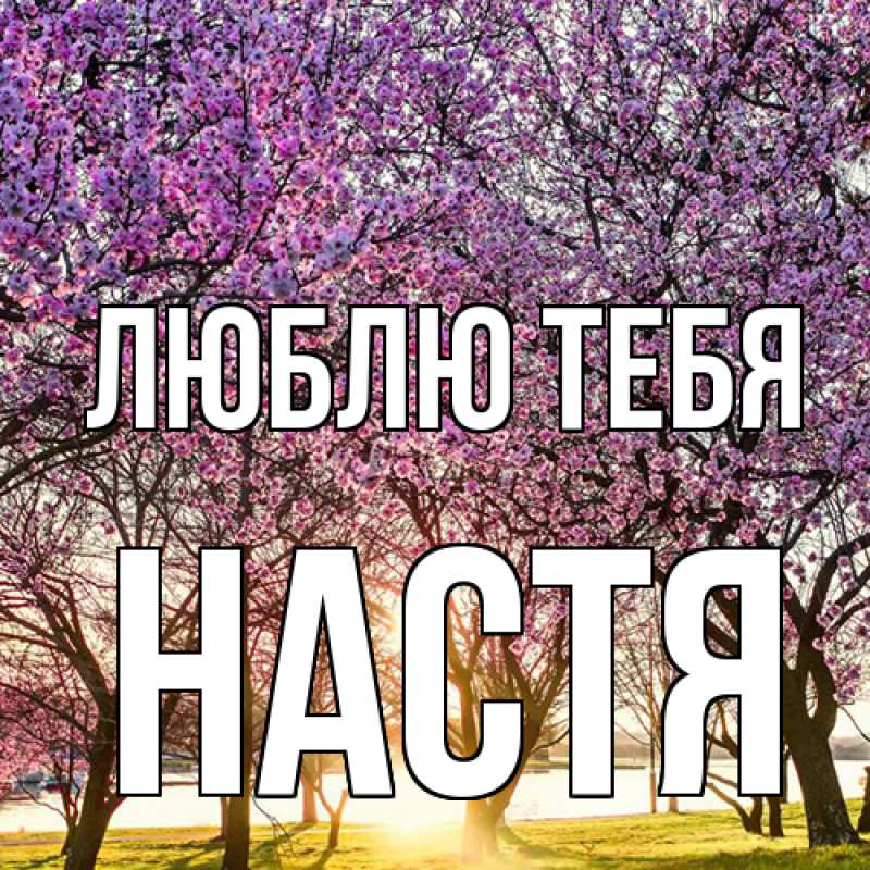Картинка Люблю тебя, Настя