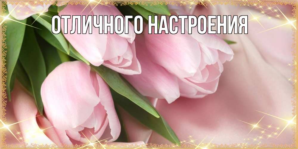 Открытка на каждый день с именем, Радосвета Люблю тебя поздравления с международным женским днем Прикольная открытка с пожеланием онлайн скачать бесплатно 