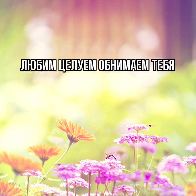 Картинка Люблю тебя, Ненаглядный мой