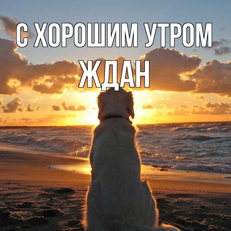 Картинка С хорошим утром, Ждан
