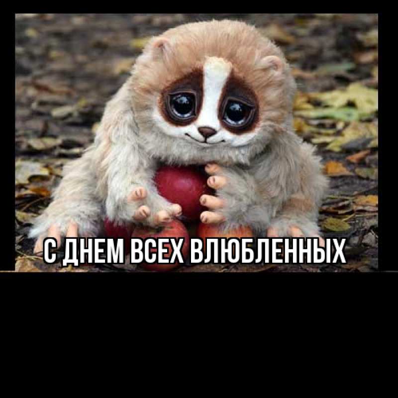 Картинка Большое спасибо, Иветта