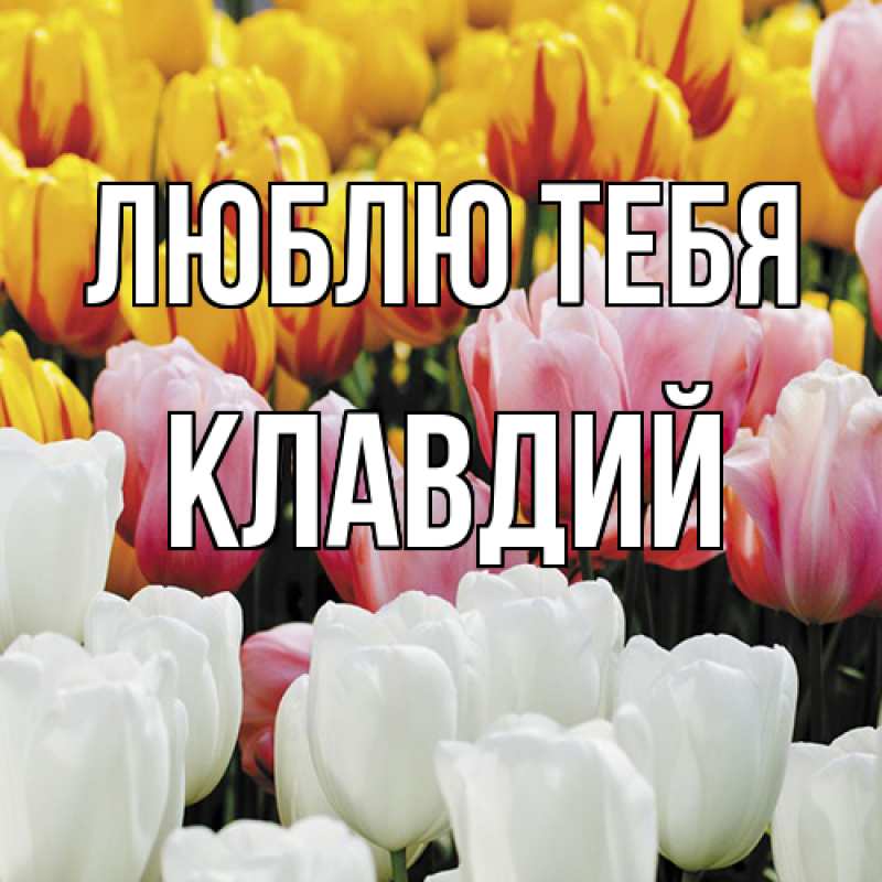 Картинка Люблю тебя, Клавдий