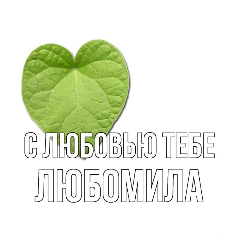 Картинка С любовью тебе, Любомила