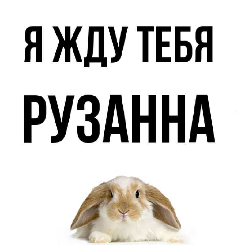 Картинка Я жду тебя, Рузанна