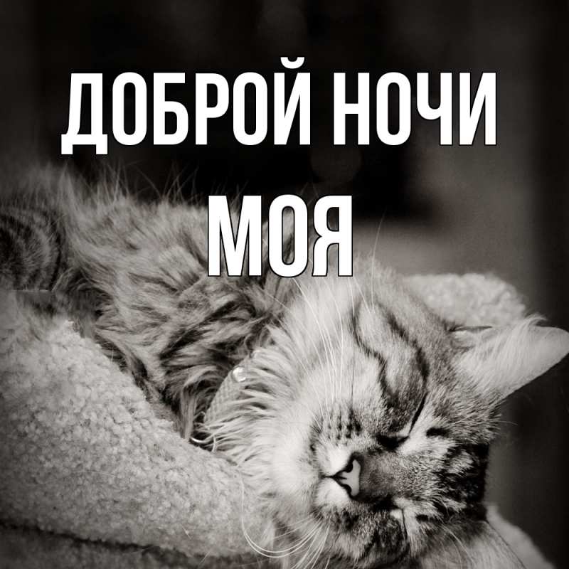 Картинка Доброй ночи, Моя