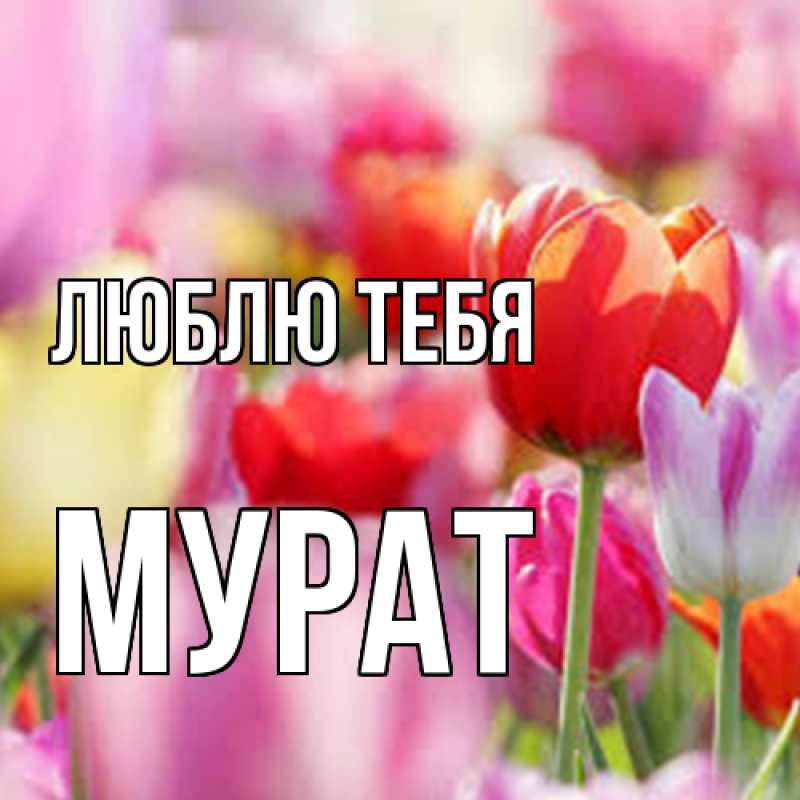 Открытка с именем, Мурат, Люблю тебя