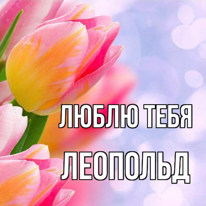 Картинка Люблю тебя, Леопольд