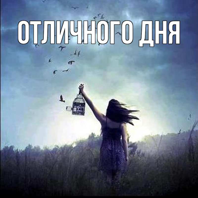 Картинка Скучашки, Лана