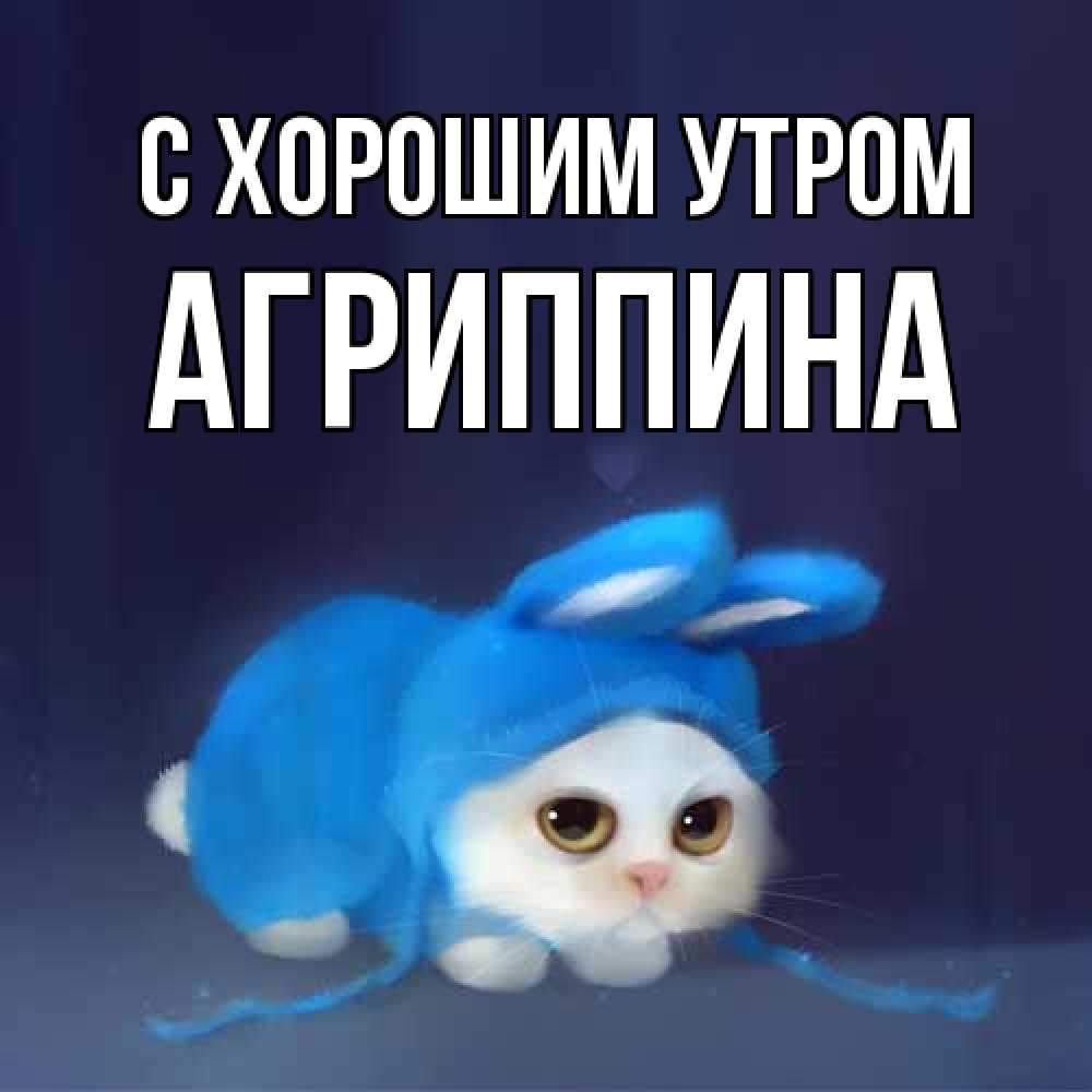 Открытка на каждый день с именем, Агриппина С хорошим утром открытки красивые скачать бесплатно Прикольная открытка с пожеланием онлайн скачать бесплатно 