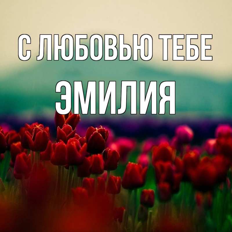 Картинка С любовью тебе, Эмилия