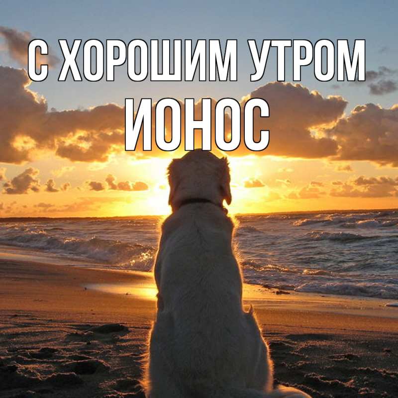 Картинка С хорошим утром, Ионос