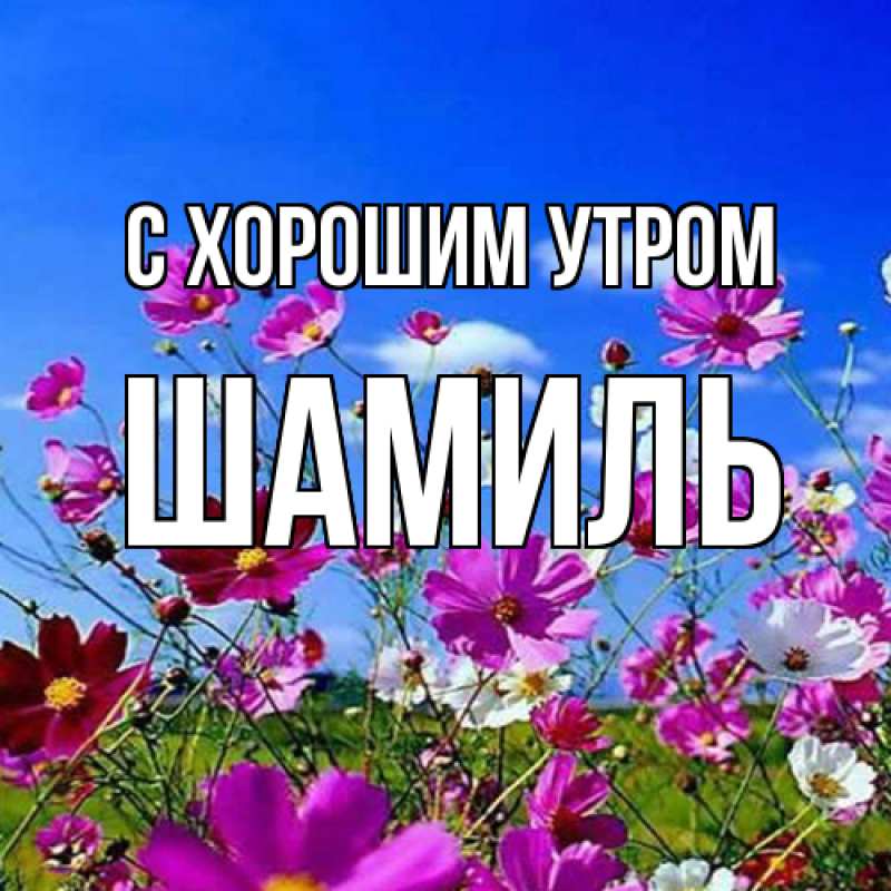 Картинка С хорошим утром, Шамиль