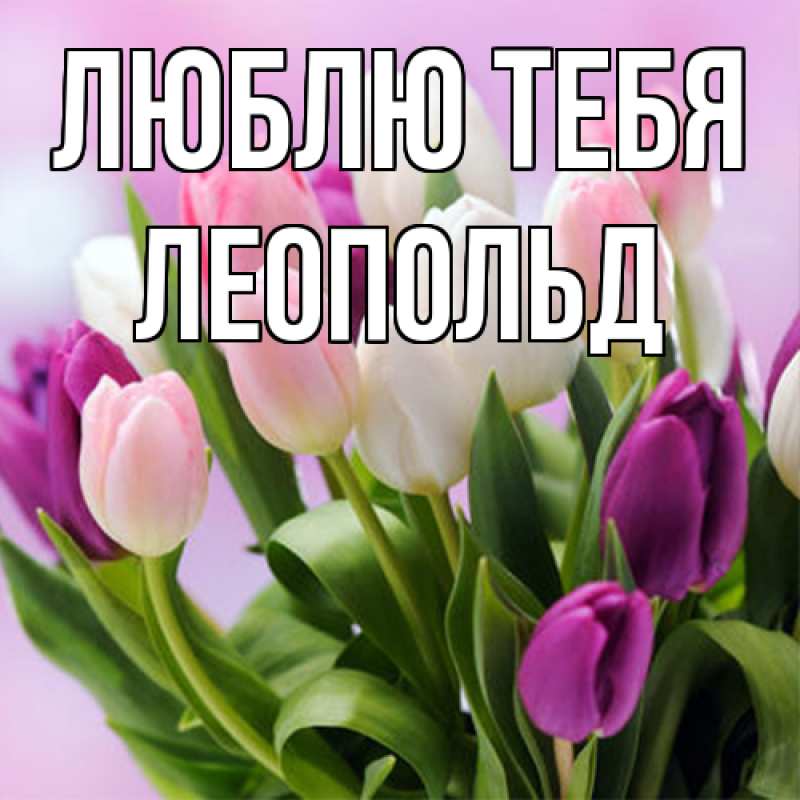 Картинка Люблю тебя, Леопольд