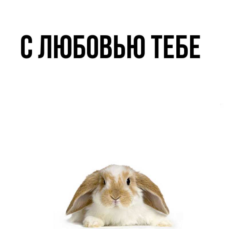 Картинка Я жду тебя, Моя