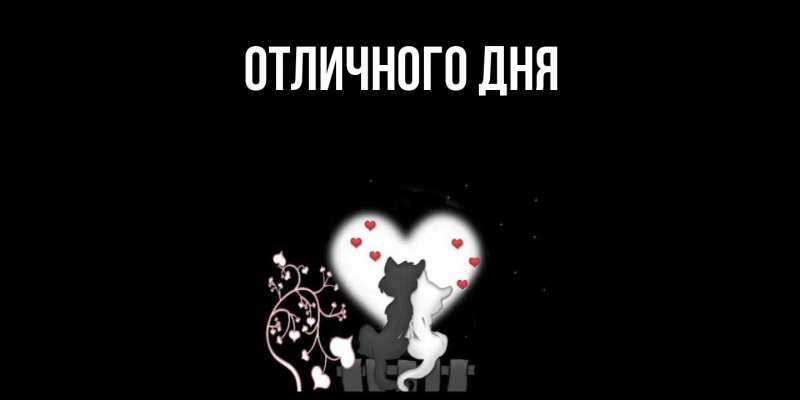 Картинка Скучашки, Стас