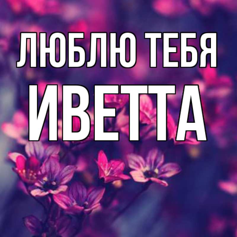 Картинка Люблю тебя, Иветта