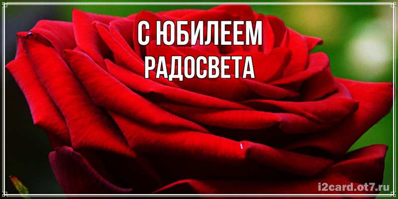 Картинка C юбилеем, Радосвета