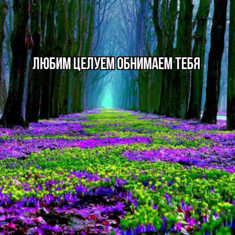 Картинка Люблю тебя, Ненаглядный мой