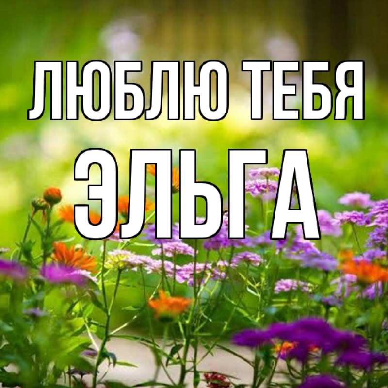 Картинка Люблю тебя, Эльга