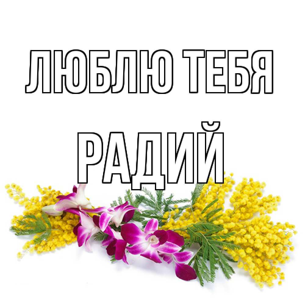 Открытка на каждый день с именем, Радий Люблю тебя открытка на международный женский день с цветами  1 Прикольная открытка с пожеланием онлайн скачать бесплатно 