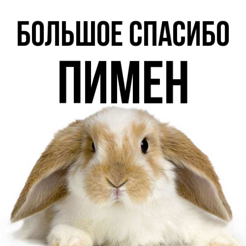Картинка Большое спасибо, Пимен