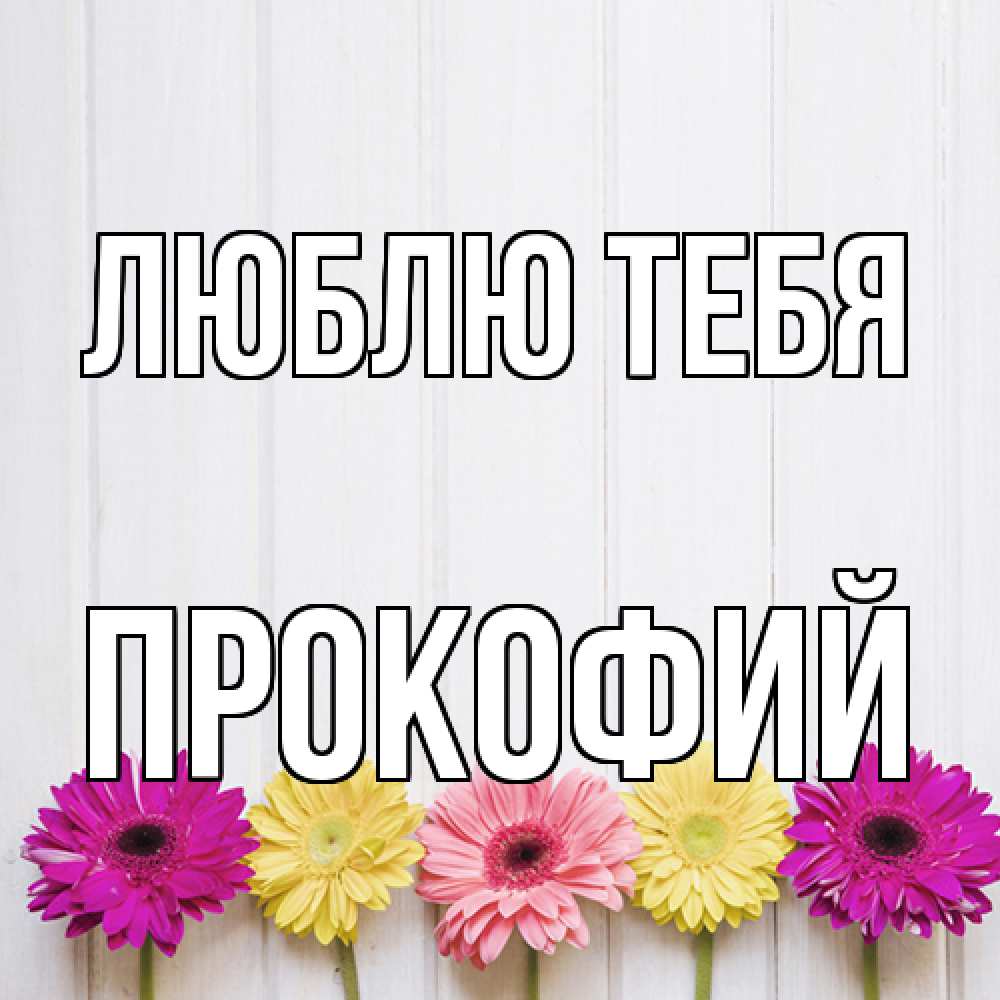 Открытка на каждый день с именем, Прокофий Люблю тебя женщинам 1 Прикольная открытка с пожеланием онлайн скачать бесплатно 