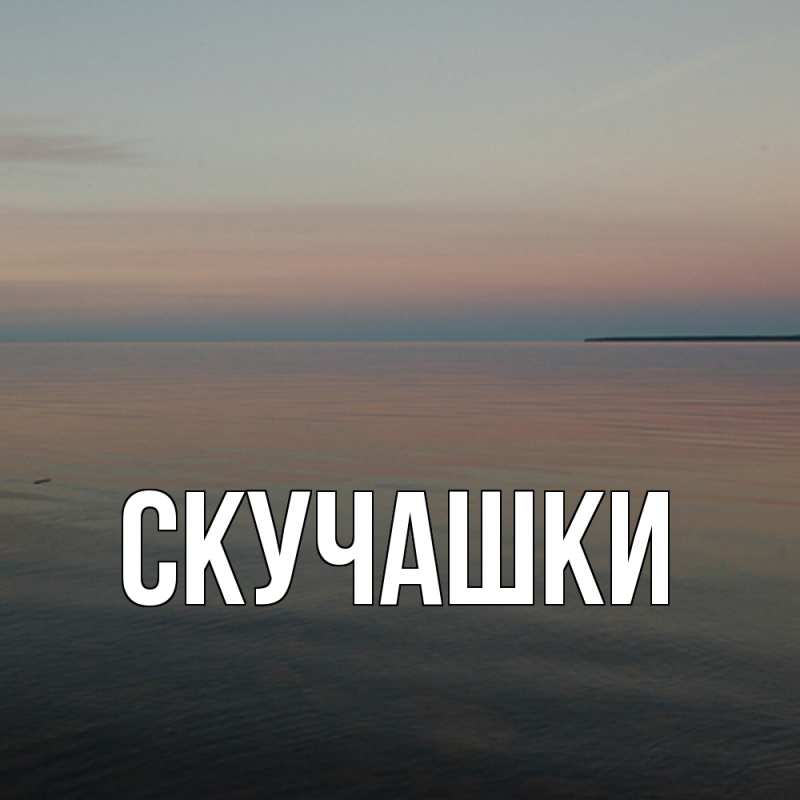 Картинка Скучашки, 