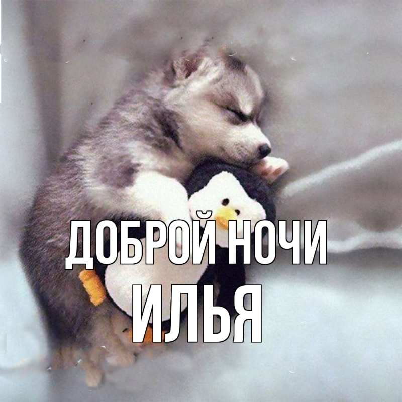 Картинка Доброй ночи, Илья