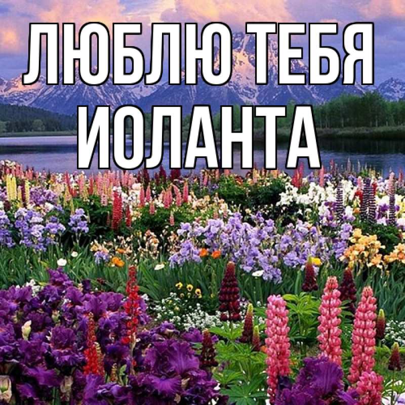 Картинка Люблю тебя, Иоланта