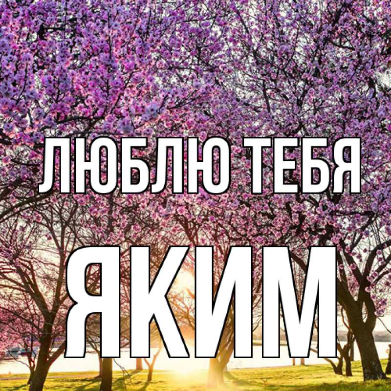 Картинка Люблю тебя, Яким