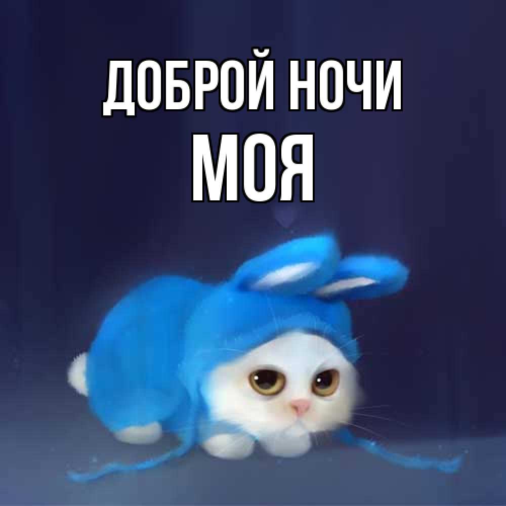 Открытка на каждый день с именем, Моя Доброй ночи кот в голубом костюме кролика с ушками Прикольная открытка с пожеланием онлайн скачать бесплатно 