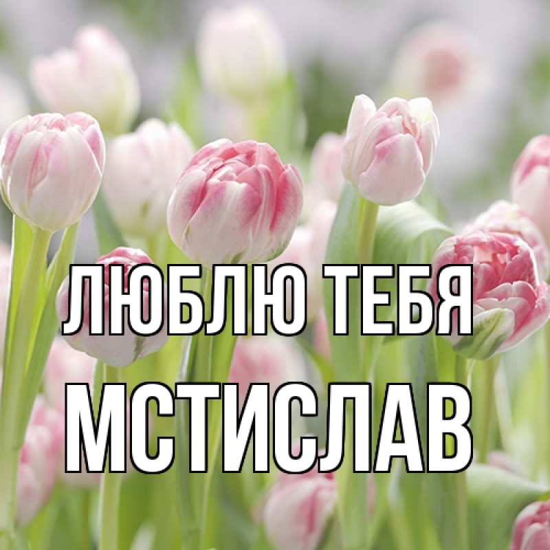 Картинка Люблю тебя, Мстислав