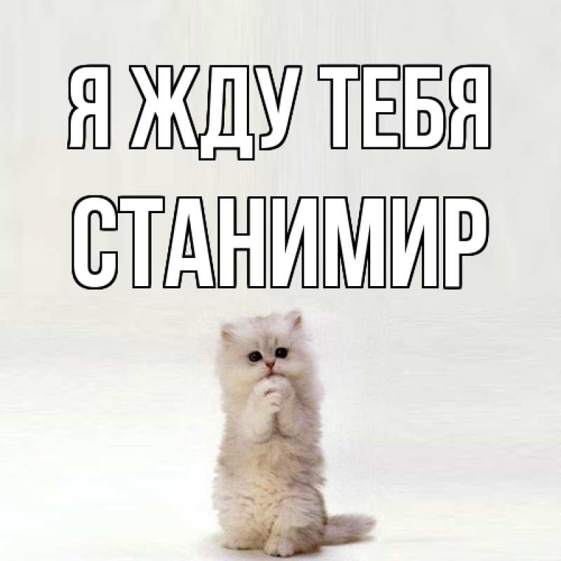 Картинка Я жду тебя, Станимир